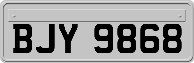 BJY9868