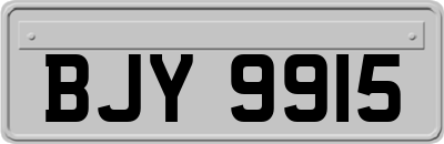 BJY9915