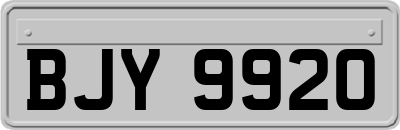 BJY9920