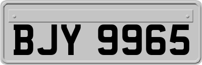 BJY9965