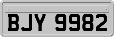 BJY9982
