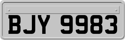 BJY9983