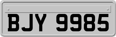 BJY9985