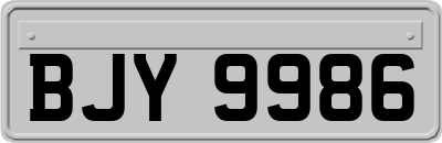 BJY9986