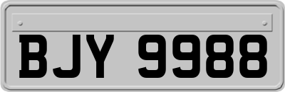 BJY9988