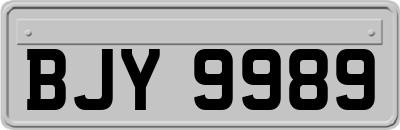 BJY9989