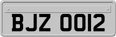 BJZ0012