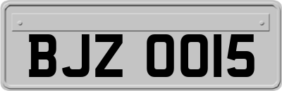 BJZ0015