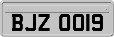 BJZ0019