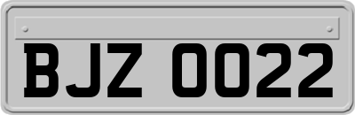BJZ0022