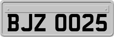 BJZ0025
