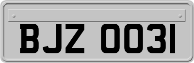BJZ0031