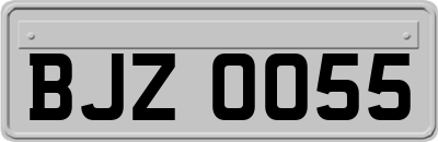 BJZ0055