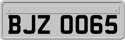 BJZ0065