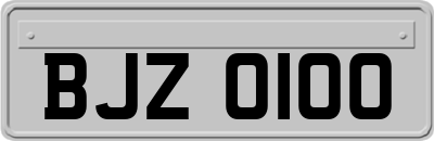 BJZ0100