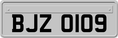 BJZ0109
