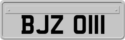 BJZ0111