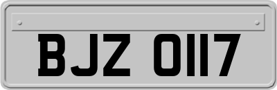BJZ0117