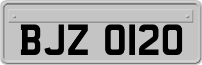 BJZ0120