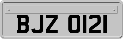 BJZ0121