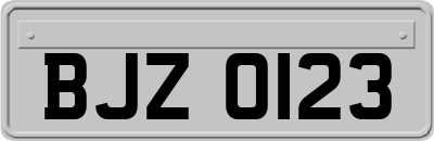 BJZ0123