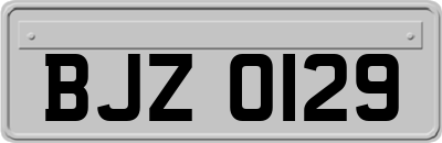 BJZ0129