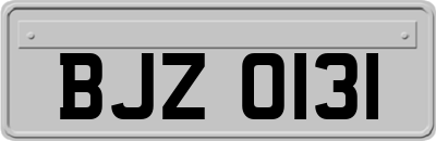 BJZ0131