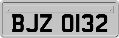 BJZ0132
