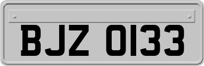 BJZ0133
