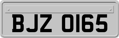 BJZ0165