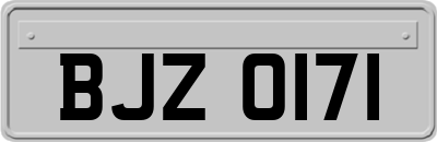 BJZ0171