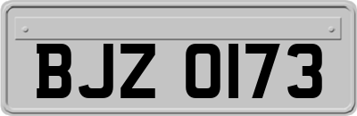 BJZ0173