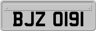 BJZ0191