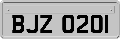 BJZ0201