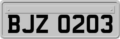 BJZ0203