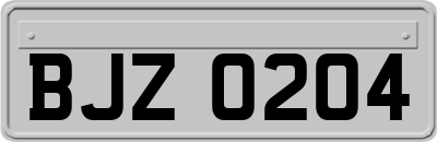 BJZ0204