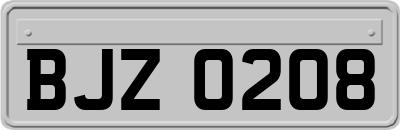 BJZ0208