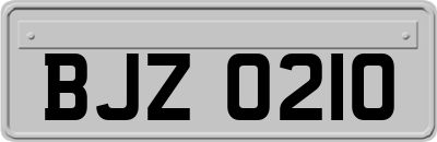 BJZ0210