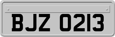 BJZ0213