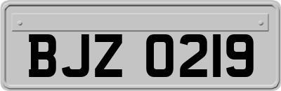 BJZ0219