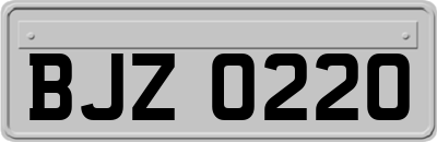 BJZ0220