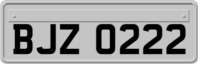 BJZ0222