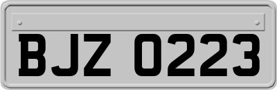 BJZ0223