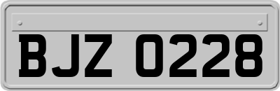 BJZ0228