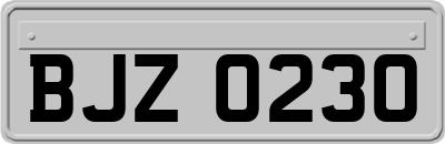 BJZ0230