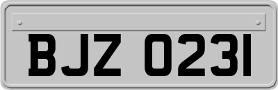 BJZ0231