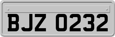 BJZ0232