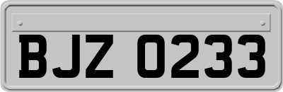 BJZ0233