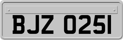 BJZ0251