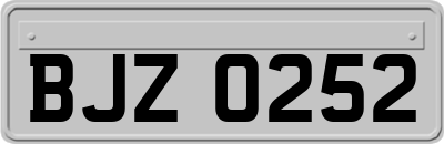 BJZ0252